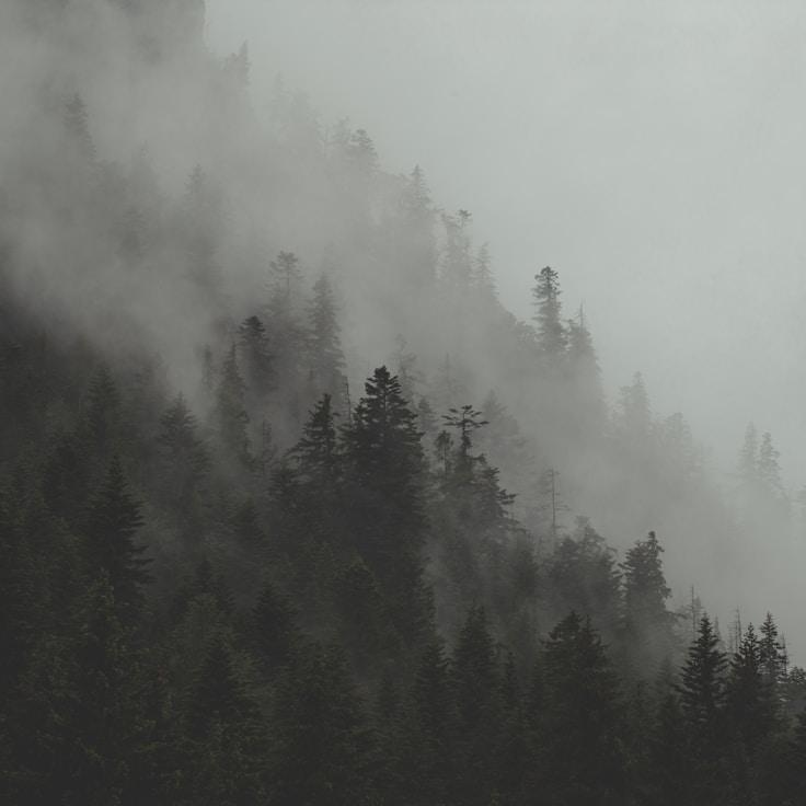 Nature travel hero image